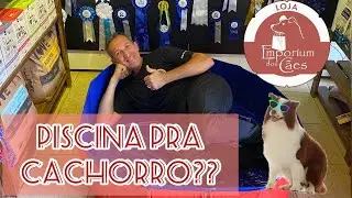 Piscina Para Cachorro - Meu Pet