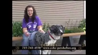 Clark County Humane Society 