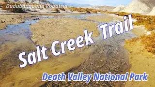 Salt Creek Interpretive Trail / Death Valley National Park