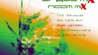 Stage Mix Riddim Mix [June 2010]