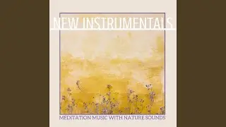Harmonic Wellness