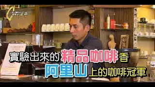 返鄉從門外漢開始的阿里山冠軍咖啡【一步一腳印精選】