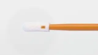 Texwipe TX803 Swab
