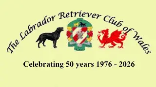 LRC of Wales championship show