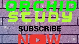 BHU bcom entrance||bcom entrance 2020||bhu.com entrance