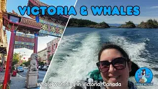 WHALE WATCHING on our Victoria, Canada trip! ~ Poutine Dinner ~ Chinatown ~ Huntingdon Manor Hotel