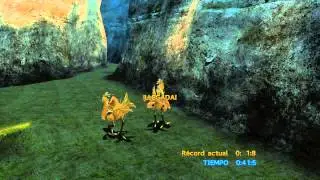 FINAL FANTASY X/X-2 HD Remaster chocobo codicioso