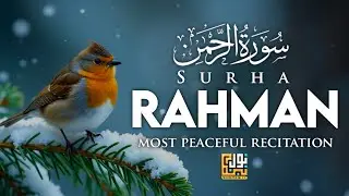 Surah Ar Rahman (سورة الرحمن) | Most Peaceful & Beautiful Quran Recitation | Noor Pulse Tv