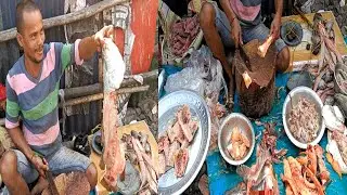 Big Vatki mach kata Cutting Skills Live In Kolkata local Fish Market।। Expert Fish Cutter in Market💯
