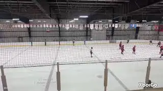 XbotGo Live Stream