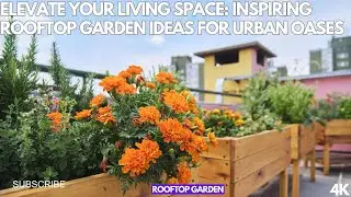 Elevate Your Living Space: Inspiring Rooftop Garden Ideas for Urban Oases