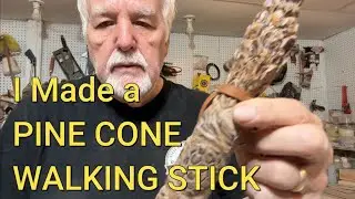 I Made a Pine Cone Walking Stick