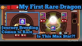 Dragonary - Dragonary My First Rare Dragon From Breeding #part6