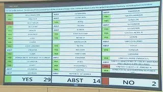 Resolution calling for investigation of violations in Palestine Adopted