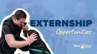 Externship Opportunities | Blue River PetCare