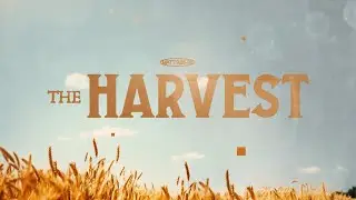 The Harvest - 2026