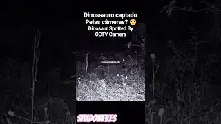 Surveillance Video Captures Real Life Dinosaur