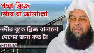 উন্নয়নের নামে নদী হত্যা! ব্রিজ কিভাবে দেশের জন্য ভয়াবহ হয়ে উঠছে