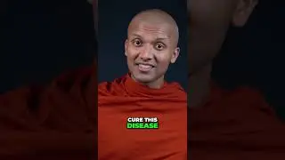 Cure Your Disease : Buddha's Secrets to End Suffering.#peace#motivation#mindset#buddha#subscribe
