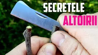 Secretele Altoirii