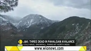Cold wave in North India: Himachal Pradesh receives fresh snowfall, temperature likely to drop