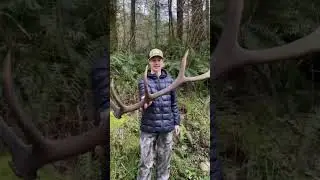2022 hunting season coming to a end! #2022huntingseason#shedhunting #deerhunting #washingtonstate