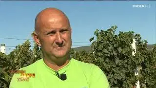 SSŠ Borislav Mihajlović Mihiz  - Prilog Tv Prva