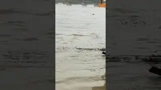 Hochwasser in Neuhaus am Inn 2021