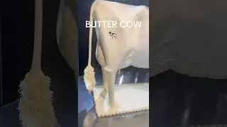 You ever seen a Butter Cow before? 🐄 #shorts #cow #fyp