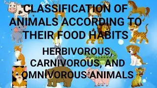 TYPES OF ANIMALS ACCORDING TO THEIR FOOD HABITS