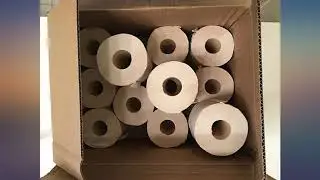 Elvissmart Ultra Soft Bamboo Toilet Paper, 18 Family Mega= 54 Regular Rolls, 200 review