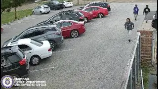 Elderly woman carjacked, body slammed by trio of men