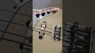 Eat @TheGHSStrings Super Steels #music #bassplayers #ghsstrings #mistressofgroove
