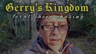 Feral Sheep Chasing - Gerry's Kingdom - unique amusements during a time of self-distancing