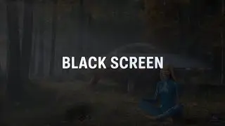 Forest & Nature Sounds | BLACK SCREEN | Deep Sleep & Relaxation | 8H