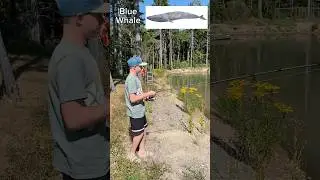 How Fish Bite According To Their Size! #fishing #fish #funny #outdoors
