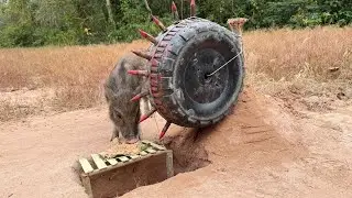 Traditional Jungle Trap Works Perfectly! #boarhunting #wildpigtrap #pigtrap #wildboartrap #viraltrap