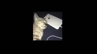 tilekid - you not the same (high pitched)
