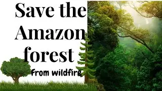 Save the Amazon forest from wildfire 🌳🌲by Arya