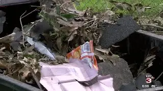 FAMILY HELPING NEIGHBORS CLEAN UP IN WELSH