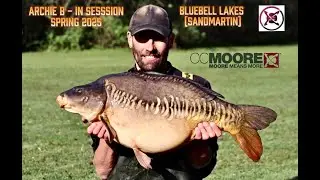 Archie B - In Session - Spring 2025 (Bluebell Lakes - Sandmartin)