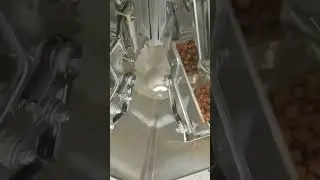 Automatic weighing pet dog snack cat food packaging machine