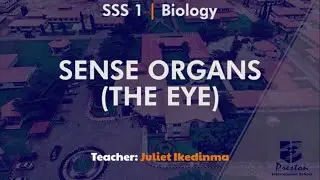 Sense Organs (The Eye) - SSS1 Biology