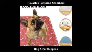 Reusable Pet Urine Absorbent Pad Washable Dog Cat Diaper Mat 3 Layer Absorbent | Dog & Cat Supplies