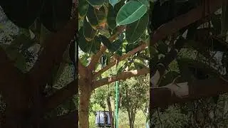 Tenneti Park📍#sushmithanath06 #vizag #vishakapatnam #andrapradesh #tennetipark #youtubeshorts