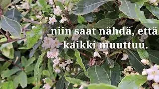 Jeesus nousi kuolleista