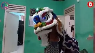Barongsai Anak anak Buatan Bandung