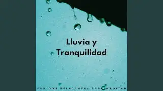 Paz Pensativa En El Abrazo De La Tormenta