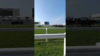 Royal Ascot Racecourse Horse racing