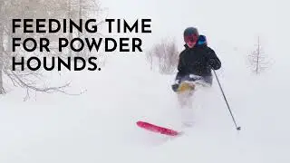 Neilson Ski | Feeding Time For Powder Hounds